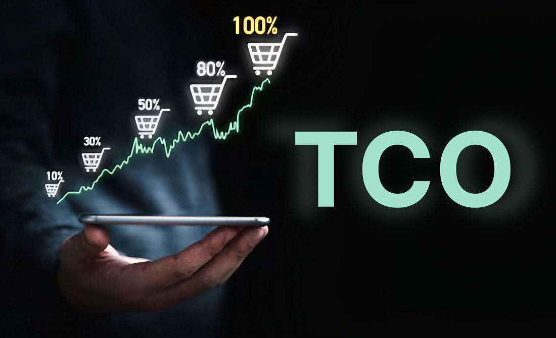 How Ecommerce Businesses Can Reduce TCO In 2025