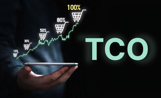 How Ecommerce Businesses Can Reduce TCO In 2025