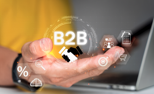 The Ultimate Guide to Mastering Shopify B2B ecommerce